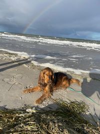 Urlaub an der Ostsee mit Regenbogen