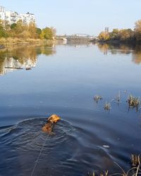 am liebsten w&uuml;rde Annabell die Elbe lang schwimmen