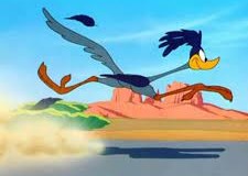 Road Runner