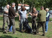 Gruppen&uuml;bung mit klatschen