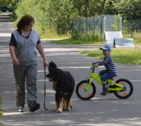 Verkehrsteil mit Radfahrer