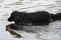 schwimmen unter Aufsicht