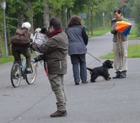 Verkehrsteil - keine Angst vorm Schirm