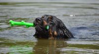 heute war Leprell in Schwimmlaune