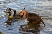 Edna l&auml;sst sich ihren Ball nicht klauen