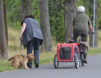 Umwelttraining - Vorsicht Radfahrer