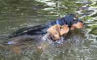 guck mal Mama ich kann schwimmen