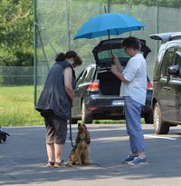 Verkehrsteil - Frauchen es regnet doch garnicht