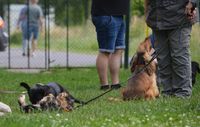 schickes Vorsitz trotz jeder Menge Ablenkung