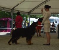 Standbeurteilung und viel Lob