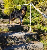 auf dem Weg nach unten mal kurz verschnaufen