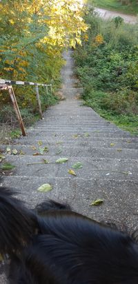 hier geht es runter in Richtung Donau