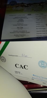 unser erstes CAC