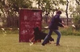 Gegenstand bewachen - der Bösewicht hat bei Quax keine Chance