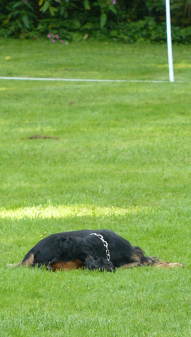 8 Punkte - 8 Punkte -