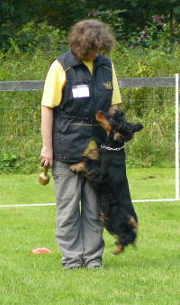 nicht anhüpfen nicht anhüpfen