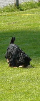 zJoey Obi I 25.04.10 bringen III