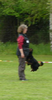 9,5 Punkte - kommen auf Befehl 9,5 Punkte - kommen auf Befehl