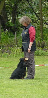 8 Punkte - bringen 8 Punkte - bringen