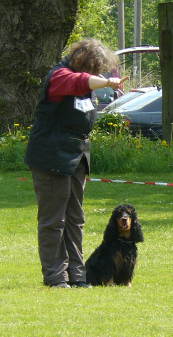 schicken in die Box - 7 Punkte schicken in die Box - 7 Punkte