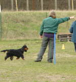 zJoey RH II Brandenburg 15.04.12 detachieren V