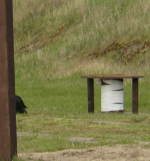 zJoey RH II Brandenburg 15.04.12 detachieren VI